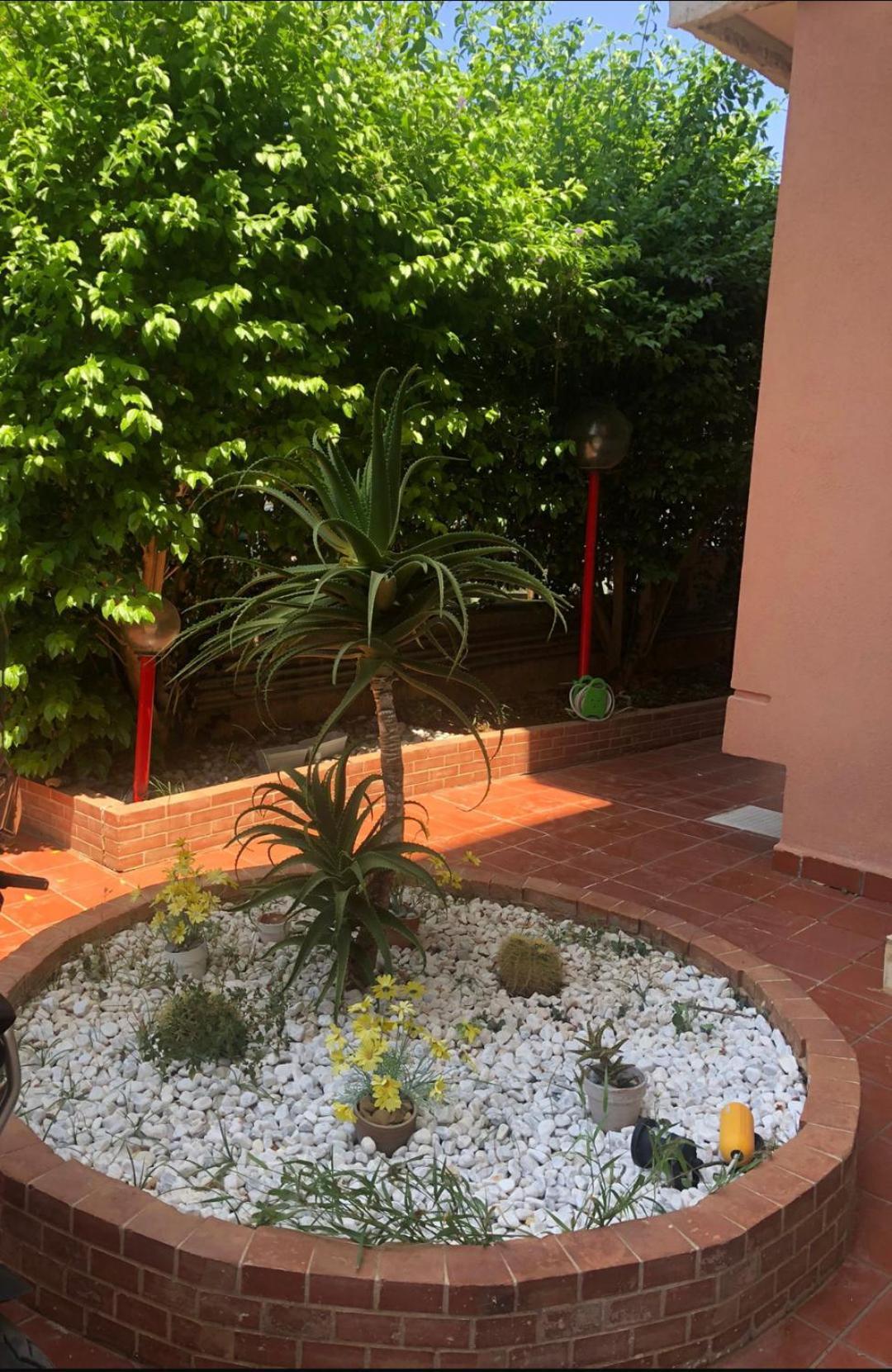 شقة Mondello House Lemon باليرمو المظهر الخارجي الصورة