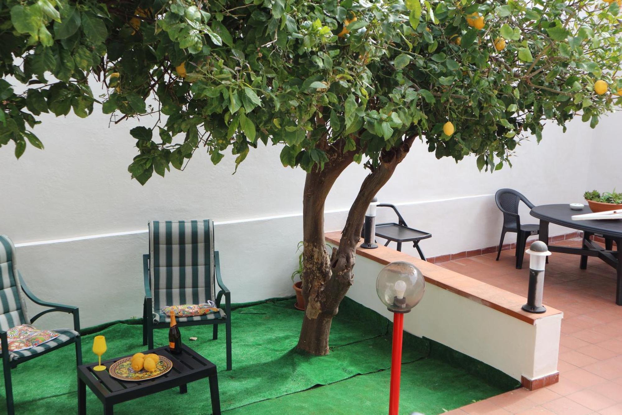 شقة Mondello House Lemon باليرمو المظهر الخارجي الصورة